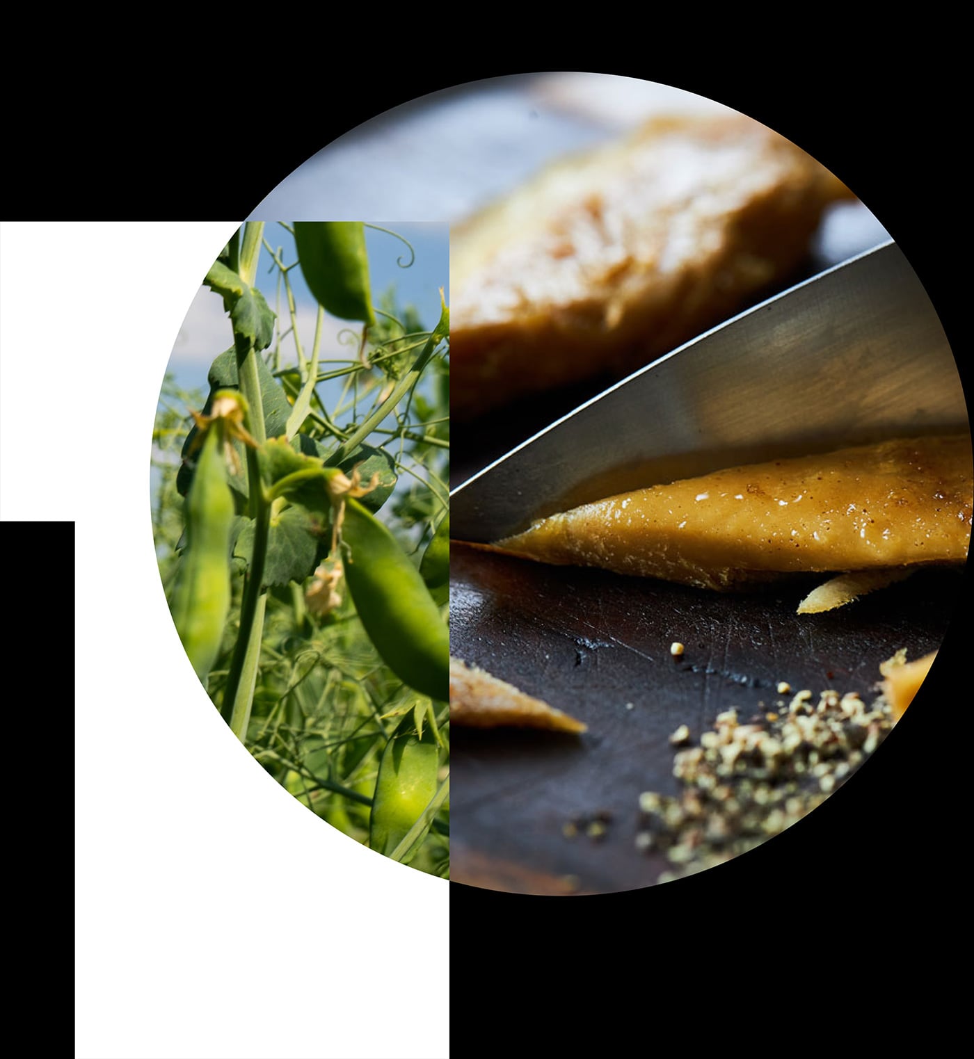 hero-pea-protein