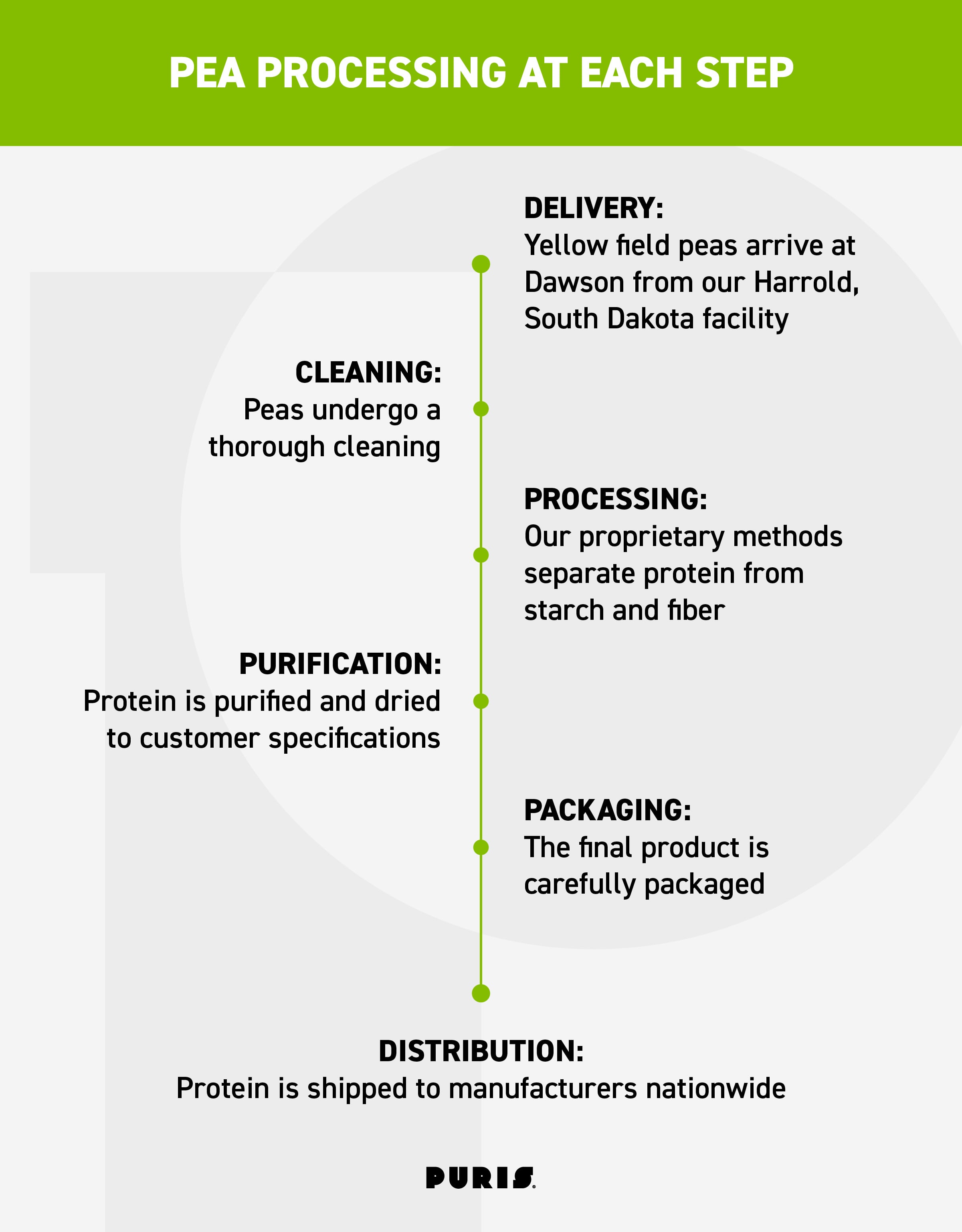 PURIS pea processing step by step.